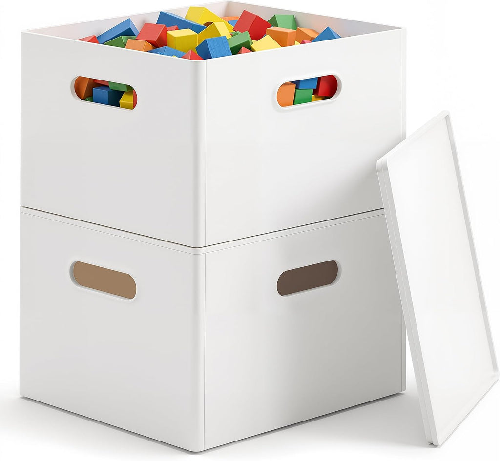 Plastic Storage Box with Lids, Stackable, 4 Side Handles, 2 Pack-M