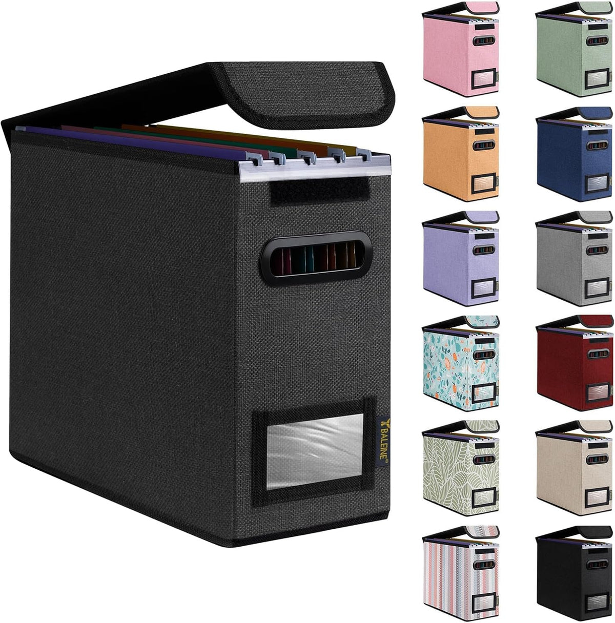 BALEINE File Organizer Box with Lid, Collapsible Hanging File Storage Box