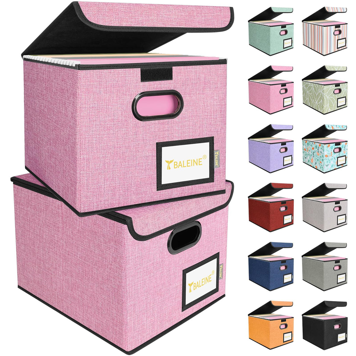 BALEINE File Organizer Box with Lid, Collapsible Hanging File Storage Box