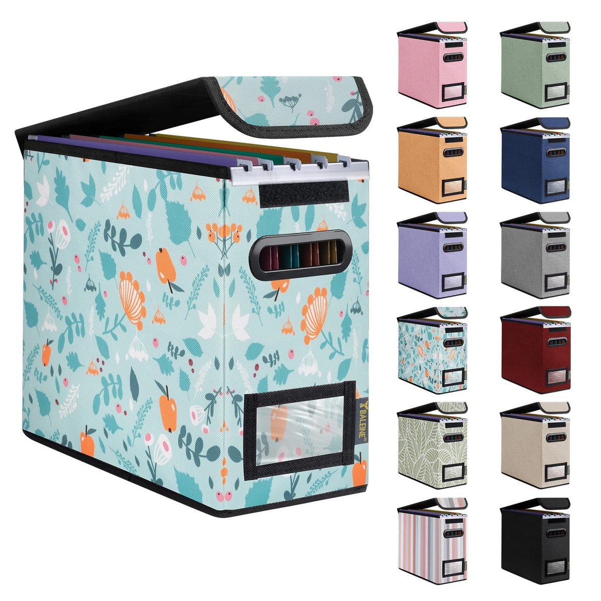 BALEINE File Organizer Box with Lid, Collapsible Hanging File Storage Box