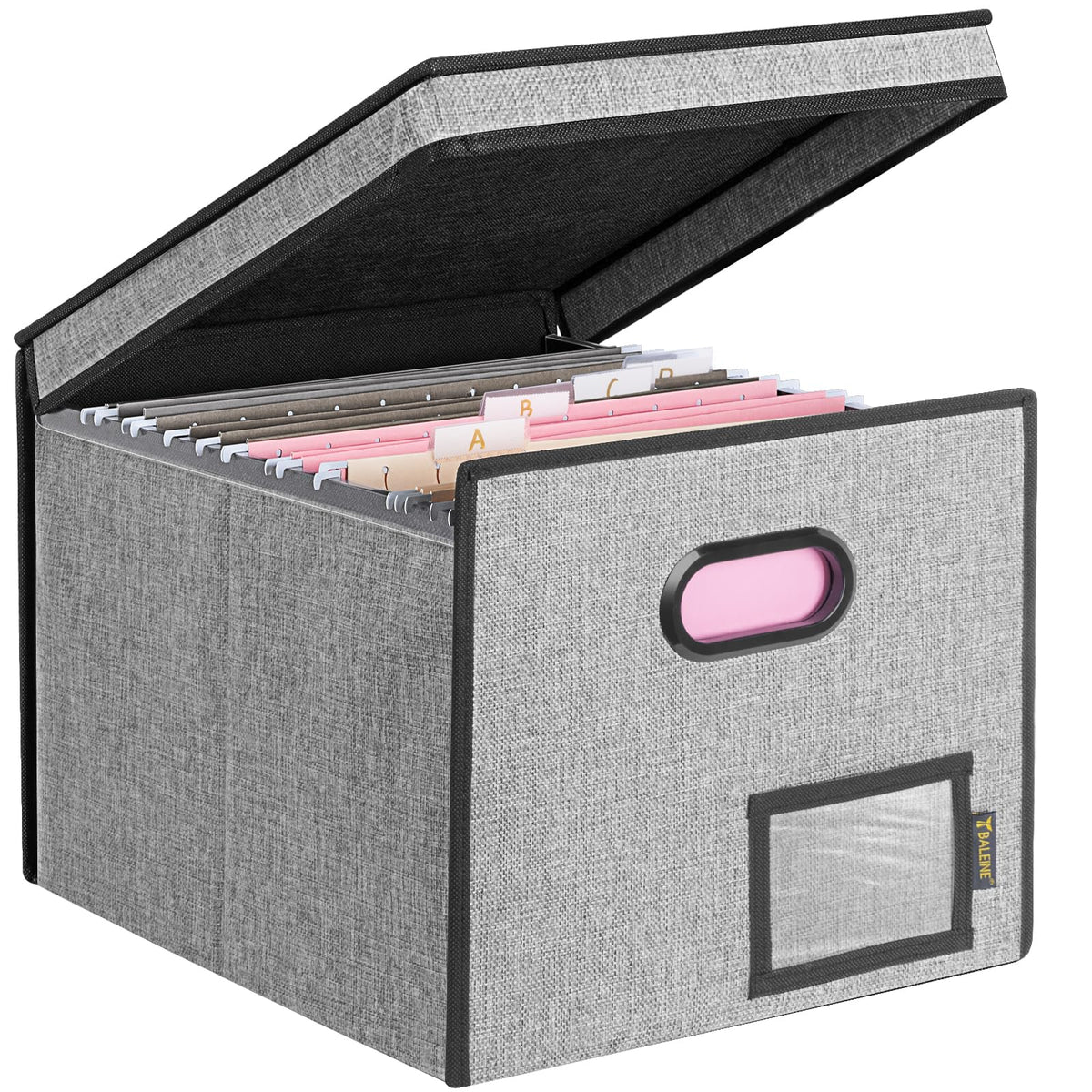 BALEINE File Organizer Box with Lid, Collapsible Hanging File Storage Box