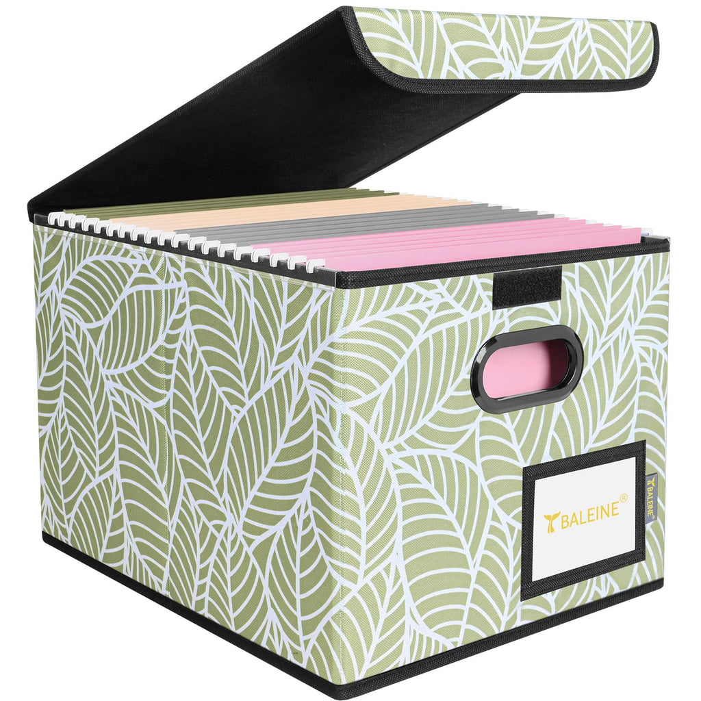 BALEINE File Organizer Box with Lid, Collapsible Hanging File Storage Box