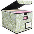 BALEINE File Organizer Box with Lid, Collapsible Hanging File Storage Box