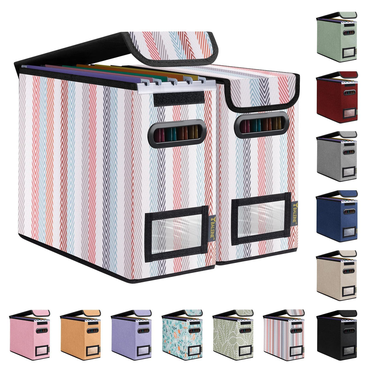 BALEINE File Organizer Box with Lid, Collapsible Hanging File Storage Box